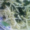 水無雲's cooksnap of when they made レンジで簡単☆韓国海苔ともやしのナムル.