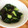 ノイズちゃん's cooksnap of when they made 生きくらげの胡麻油和え.