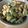 miho☆0217's cooksnap of when they made ゴーヤと鶏むね肉の味噌マヨ炒め.