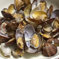 rakuたん's cooksnap of when they made あっという間に完成！アサリの酒蒸し.