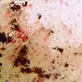 いふぁ☆'s cooksnap of when they made 濃厚ストロベリーチーズケーキオレオアイス.