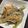 たみゅこ's cooksnap of when they made 鯵の南蛮漬け.