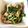 。ありんこ。's cooksnap of when they made 家のスタミナ食！豚バラと小松菜の簡単炒め.