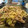 あるみっく38's cooksnap of when they made なすとひき肉の簡単和風パスタ.