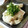 せっちゃんちゃん's cooksnap of when they made 蒸し茄子の梅マヨ和え.