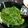 chicchib23's cooksnap of when they made モロヘイヤの基本の一品.