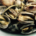 めると。's cooksnap of when they made あさりの酒蒸し　失敗なし！.