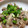 dx＠'s cooksnap of when they made 鮭缶ときのこの混ぜご飯.