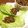 Nya6nya6's cooksnap of when they made 野菜たっぷり♪お肉ゼロ？！キーマカレー♪.