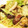 ayaanuta's cooksnap of when they made あさりとキャベツ＆しめじの和風スープスパ.