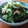 chikiri's cooksnap of when they made ささみときゅうりのさっぱり和え.