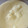 ｓｉｏ's cooksnap of when they made とっても簡単♪ホワイトソース.