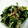 ぽわっちょ's cooksnap of when they made 豚こまともやしの中華炒め.