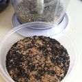 赤でめきんぎょ's cooksnap of when they made 手作りワカメふりかけ.