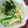 有希-yuki-'s cooksnap of when they made 昆布茶で～♪サラダスパ☆.