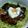 arow's cooksnap of when they made めちゃうまっ！豚バラ肉の照焼き丼.