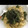 りらずきん's cooksnap of when they made 簡単＊おろしきゅうりのパスタ.