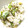 food town's cooksnap of when they made たけのこご飯　えびとそらまめ柚子胡椒風味.