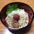 kyokakyoka's cooksnap of when they made 梅とおろしの冷やしぶっかけうどん.