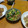 ラリー＆サラ's cooksnap of when they made 小松菜とたまご炒め.