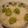 ＧＯＲＯ　's cooksnap of when they made ベーコンが隠し味！そら豆ごはん♪.