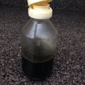 血糖値をあげない献立's cooksnap of when they made 自家製青じそドレッシング&水菜大根サラダ.