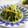 まろんかふぇ's cooksnap of when they made 豆苗と白ネギのＸＯ醤炒め.