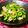 kebeibiko's cooksnap of when they made 簡単！オカンの豚バラとゴーヤ炒め！.