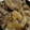 きゃんま's cooksnap of when they made 簡単☆我が家の牛丼.