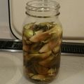 ＡＰ３８３６'s cooksnap of when they made みょうがの甘酢漬け.