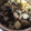 pecochan's cooksnap of when they made 冬瓜とあさりと切り昆布の煮物.