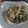 ぱおとまりも's cooksnap of when they made おかひじきとツナのマヨ胡麻ピリ辛和え.