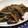 ともぱんたから's cooksnap of when they made なすと豚肉のみそ炒め.