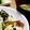 香月☆美里's cooksnap of when they made たくあん入り！まぐろの手こね寿司.