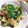 しおかつを's cooksnap of when they made レンジで！なすとツナのしょうが醤油和え.