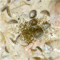 マスカル12's cooksnap of when they made 鮭とシメジのクリーム煮.