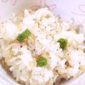 ぺっぺぺ72's cooksnap of when they made じゃこししとう.