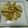 ねこりん222's cooksnap of when they made 竹の子のソテー　バター醤油風味.