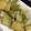 リンゴ猫's cooksnap of when they made とうがん☆皮☆のおつまみ.