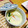 のん♪♪のん's cooksnap of when they made 冷やし茶碗蒸し.