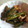 aki0103's cooksnap of when they made 豚とししとうのくたくた煮.