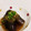miuuuuuu's cooksnap of when they made 茄子のみぞれ煮.