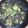 kyokoha's cooksnap of when they made オクラと海苔のスープ.