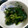 クックRYTDC4☆'s cooksnap of when they made 簡単☆きゅうりの昆布茶和え.