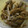 ぼんぼんまる's cooksnap of when they made たたきごぼうの梅和え。.
