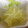 kashiwam's cooksnap of when they made そうめんかぼちゃのマヨネーズぽん酢.