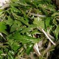 だだ2612's cooksnap of when they made もやしと水菜の旨味ナムル.