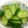 まなわかこじ's cooksnap of when they made きゅうりのからし漬け.