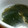 ♡Catherine's cooksnap of when they made 簡単( *´艸｀)　わかめのスープ.