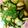 クックGN6M0O☆'s cooksnap of when they made 簡単！さっぱり！なすときゅうりの酢もみ.